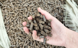 木屑顆粒機(jī)將秸稈變廢為寶，降碳節(jié)能一舉兩得